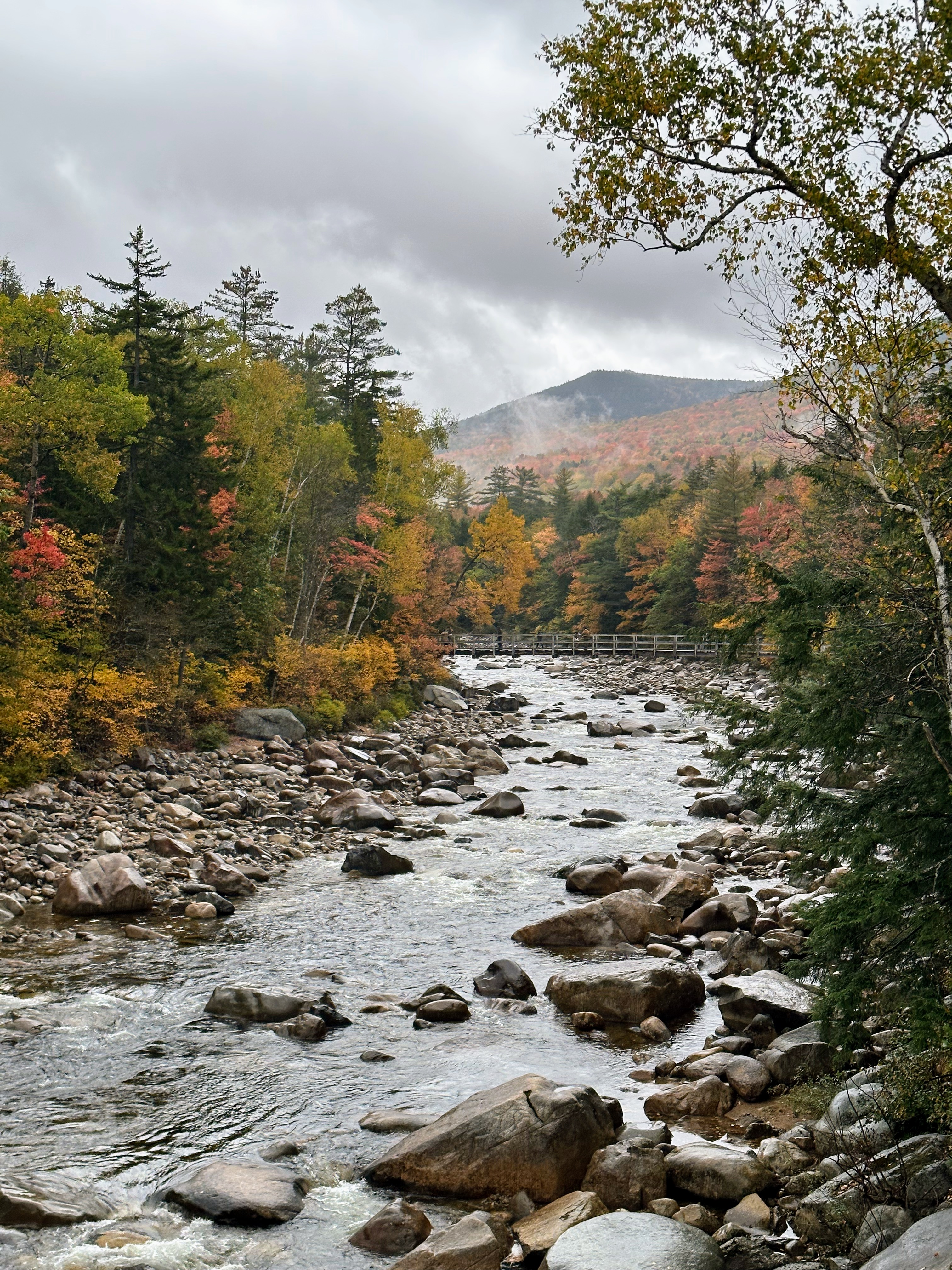 Rocky creek surrounded by autumn foliage in the White Mountains, NH